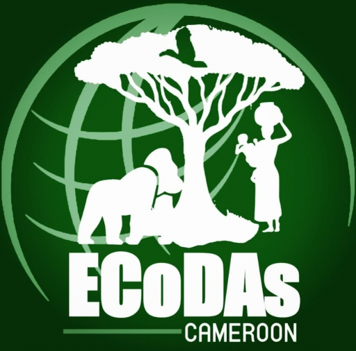 ECODAS Cameroon